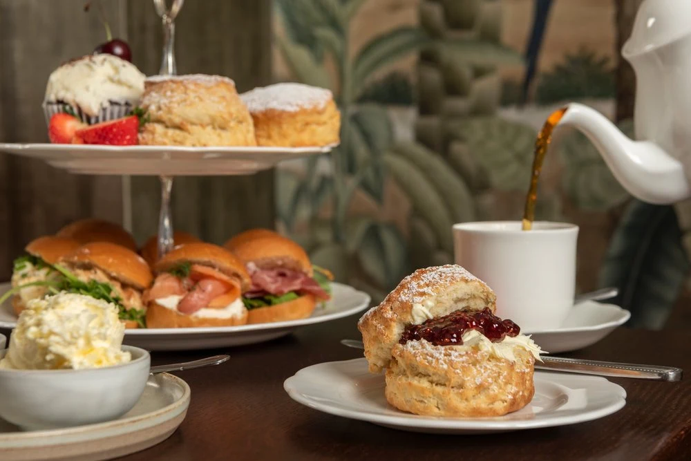 Fresh scone with cream and jam beside a pot of tea